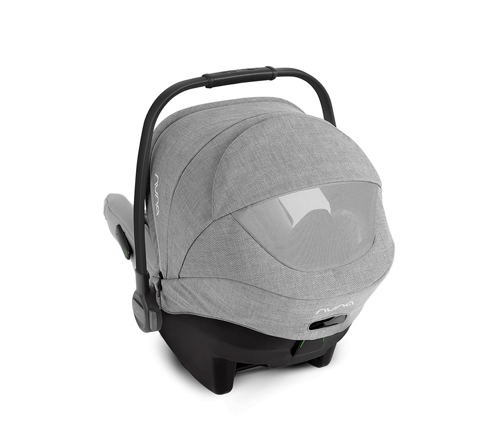 Nuna pipa hot sale car seat frost