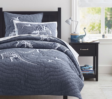 Pottery barn kids dinosaur bedding cheap