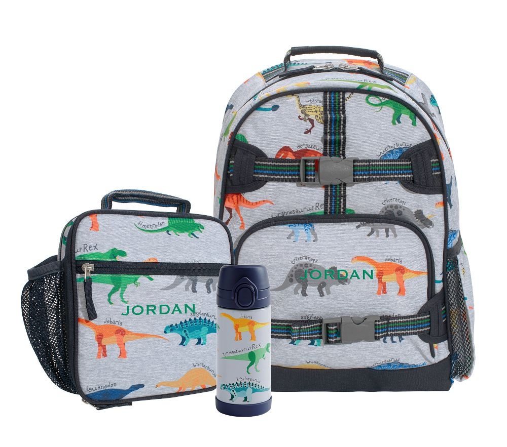 Dinosaur backpack sales set