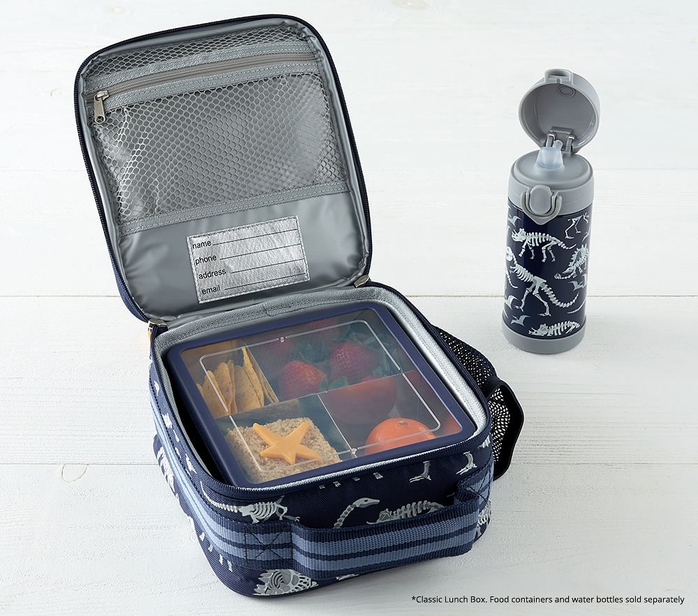 Pottery barn shark lunch box hot sale