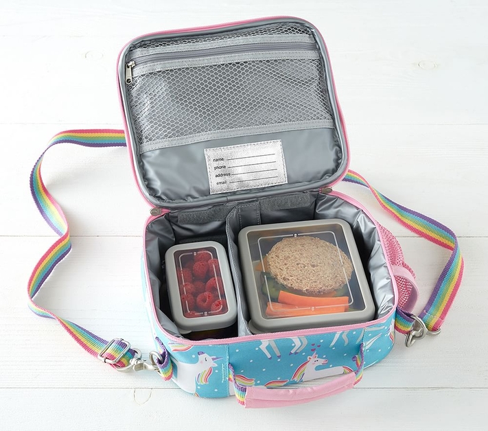 Pottery barn cold shop pack lunch bag