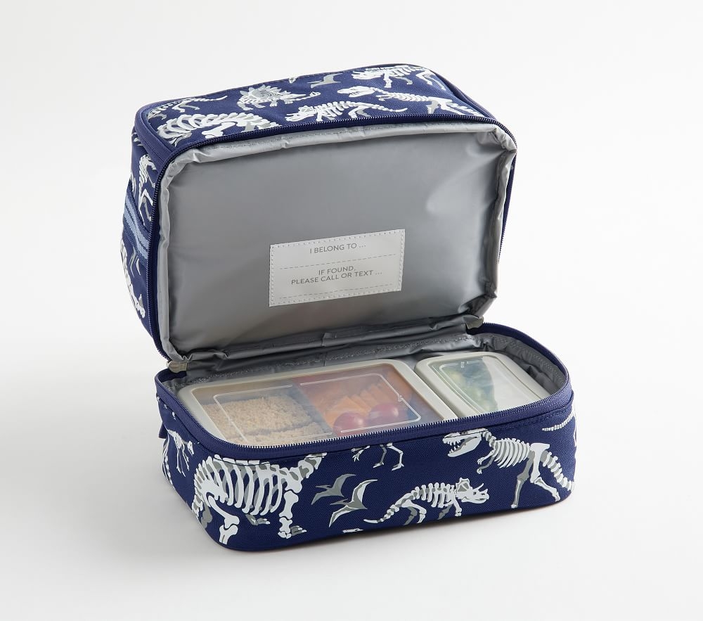 Cold pack lunch box pottery barn hot sale